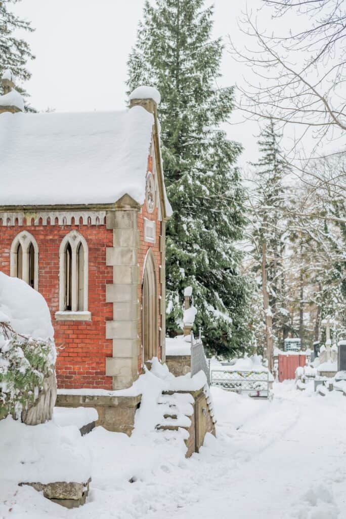 a church in the middle of a snowy forest